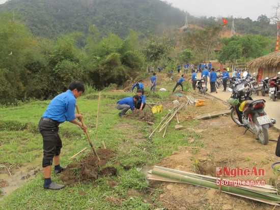 Các ĐVTN trồng cây sau buổi lễ ra quân.
