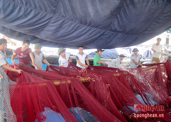 Ngư dân cùng tổ, đội khai thác trên biển, hỗ trợ nhau rửa lưới sau những chuyến biển dài ngày.