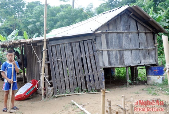 Năm trước, chiếc thuyền- nơi sinh sống của gia đình ông Lê Văn Nga bị nước lũ phá tung, toàn bộ tài sản bị cuốn trôi, số cá nuôi dưới lồng trị giá hơn 10 triệu cũng bị cuốn theo dòng nước. Gia đình ông phải đưa số ván còn lại lên triền sông dựng túp lều làm nơi che mưa, tránh nắng.