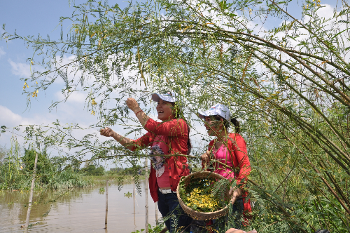 Miền Tây chào đón du khách với bao sản vật mùa nước nổi.