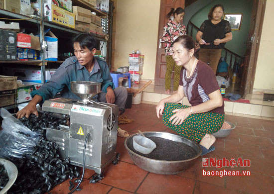 Chiếc máy ép dầu thực vật của gia đình chị Minh luôn đông khác đến thuê ép.