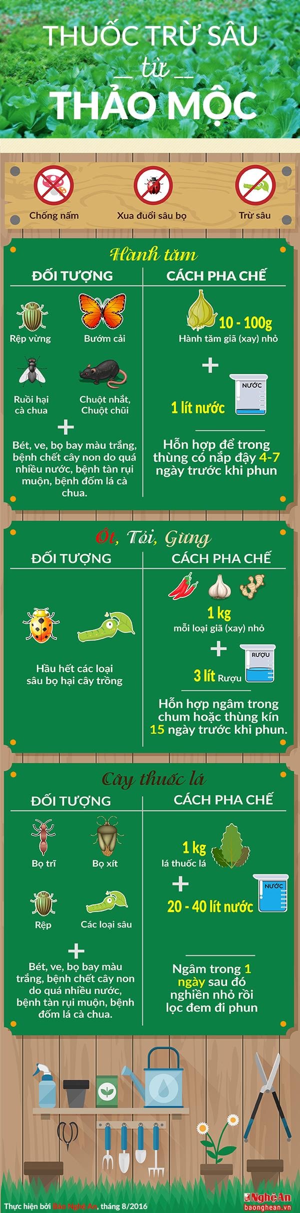 Đồ họa Đức Mạnh