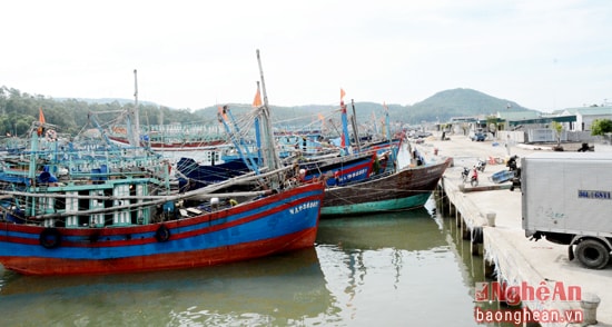 Cảng nhân dân phía Nam lạch Quèn tự phát xây dựng đã ảnh hưởng đến khơi thông luồn lạch