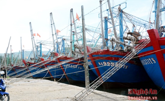 Cảng lạch Quèn phía Bắc hẹp cầu cảng nên tàu thuyền đậu san sát gây mất an toàn phương tiện