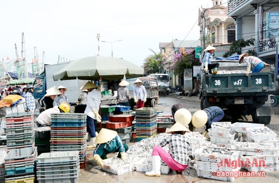 Cảng cá lạch Quèn phía Bắc trở nên lộn xộn, quá tải