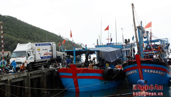 Cảng nhà nước phía Nam quá nhỏ tàu phải đậu 2 lớp
