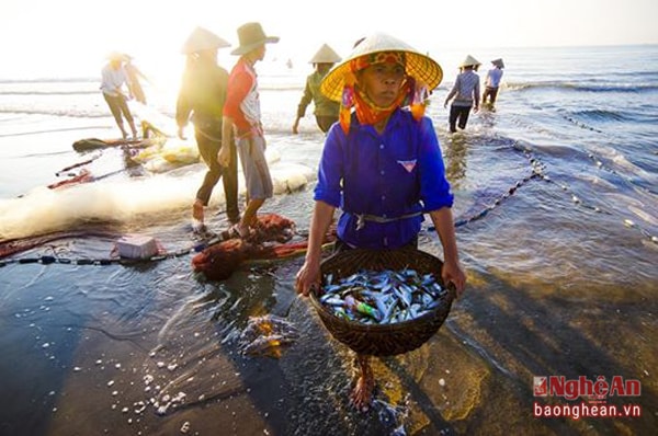 Niềm vui cá nặng lưới đầy.