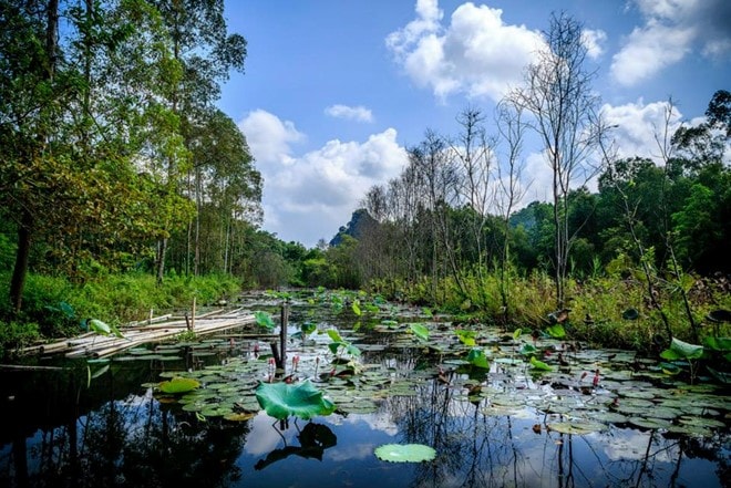 Ngoài ra, nhiều bạn chọn thuê đò để có những bộ hình thướt tha giữa dòng nước êm, đồng thời thư thả lượn lờ ngắm “tiên cảnh” một cách thật yên bình. Khoảng 90.000 đồng/người, bạn sẽ được ngao du sơn thủy, ngỡ như mình đang lạc vào chốn cổ tích huyền ảo.  