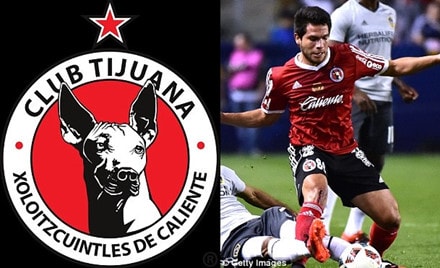 Club Tijuana của Mexico lồng ảnh giống chó trụi lông vào logo. Ảnh Getty. 