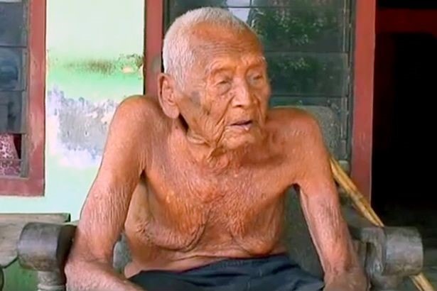 Phat hien cu ong 145 tuoi o Indonesia hinh anh 1