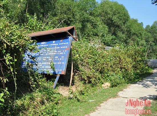 Bến đò Rú Nguộc (xã Ngọc Sơn, Thanh Chương) không có nhà chờ, biển nội quy chỉ dẫn, thông báo giá, đổ gãy hư hỏng, chưa được kịp thời sửa chữa, thay thế.