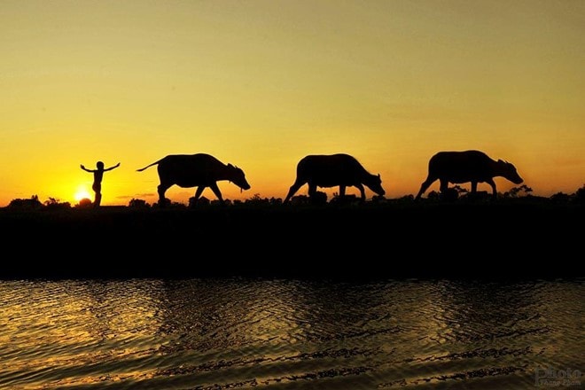 Hình ảnh bình dị tuyệt đẹp của cố đô Ninh Bình hình ảnh 10 Hãy tìm cho mình chút bình yên trong tâm hồn với những ký ức thuở bé thơ, để thấy yêu đời, yêu quê hương mình nhiều hơn. Ảnh: Thang Pham.