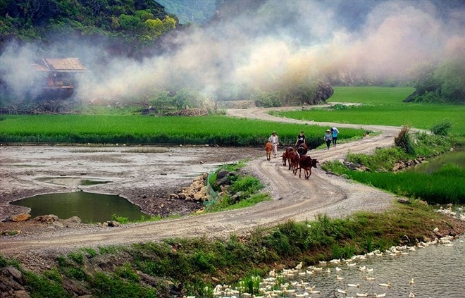 Hình ảnh bình dị tuyệt đẹp của cố đô Ninh Bình hình ảnh 13 Khói tỏa lam chiều. Ảnh: Lục Hoa.