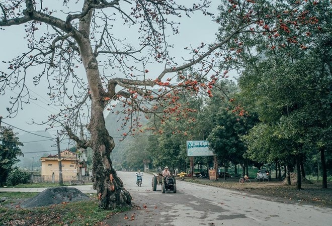 Hình ảnh bình dị tuyệt đẹp của cố đô Ninh Bình hình ảnh 19 Có ai còn nhớ tuổi thơ nô đùa bên gốc gạo với những cánh hoa bay. Ảnh: Bùi Ánh Quang.