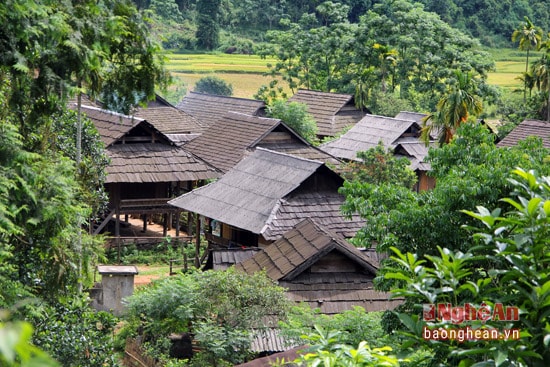 Những ngôi nhà sàn lợp bằng ngói sa mu của đồng bào Thái ở bản Hủa Mương (Hạnh Dịch, Quế Phong) nằm san sát nhau trồng như một thành phố cổ hàng ngàn năm trước còn tồn tại đến bây giờ.