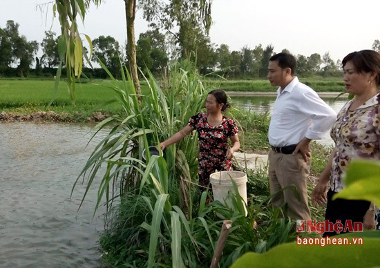 Bí thư Chi bộ Lê Hữu Linh chia sẻ cùng bà con cách làm kinh tế trang trại.