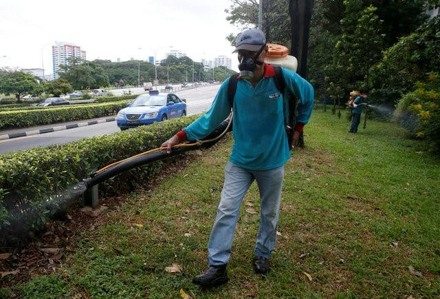 Các nhân viên phun thuốc diệt muỗi tại khu vực được cho là bùng phát virus Zika ở Singapore. Ảnh: Reuters.