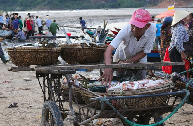 Chợ cá đông người mua bán hơn hồi tháng 4, tháng 5, tuy nhiên nhiều thương lái cho biết họ vẫn dè dặt trong thu mua, chờ thêm công bố chính thức của Bộ Y tế về độ an toàn của cá biển.