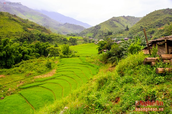 Khu vực biên giới ở bản Buộc Mú (Na Ngoi)