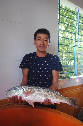 Con cá sủ vàng của anh Nhật được trả giá nửa tỷ.