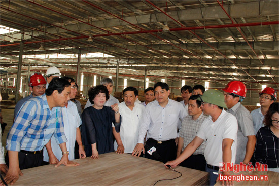 Lãnh đạo tỉnh Nghệ An kiểm tra tiến độ xây dựng Nhà máy chế biến gỗ Nghệ An. Ảnh: Cảnh Nam