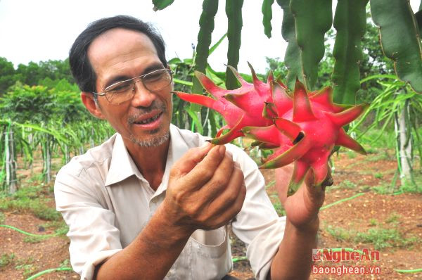 Mô hình trang trại tổng hợp của ông Đặng Anh Tuấn ở xã Xuân Sơn (Đô Lương).