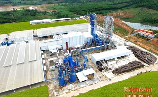 Toàn cảnh Nhà máy gỗ Nghệ An nhìn từ trên cao. Ảnh: Đức Anh