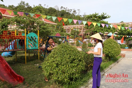 Khuôn viên nhà trường đang được sửa sang lại. Trường nhiều năm liên là trường điểm của huyện Diễn Châu trong công tác xây dựng trường học thân thiện