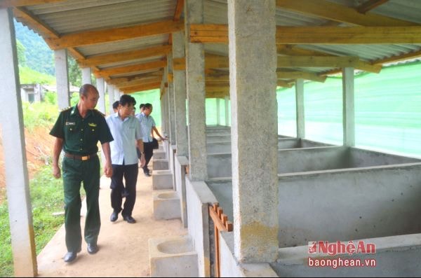 Hội Nông dân tỉnh thăm mô hình chăn nuôi lợn nái sinh sảntại Đồn Biên phòng Phúc Sơn (Anh Sơn).