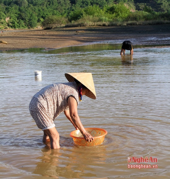 Người dân tranh thủ bắt cá