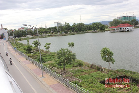 Từ trên cầu vượt đường sắt Cửa Nam nhìn xuống, những “mảnh vườn” rau xanh tốt hiện ra như một “trang trại” rau thực thụ bởi nó kéo dài từ đầu chân bên này đến cuối chân cầu vượt bên kia. Mỗi nhà một khoảng rau nho nhỏ nhưng trồng rất nhiều loại rau cung cấp rau sạch cho gia đình mình.