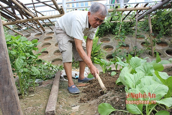  Người xới đất lên cho tơi xốp tạo môi trường thuận lợi cho rau dễ phát triển. 