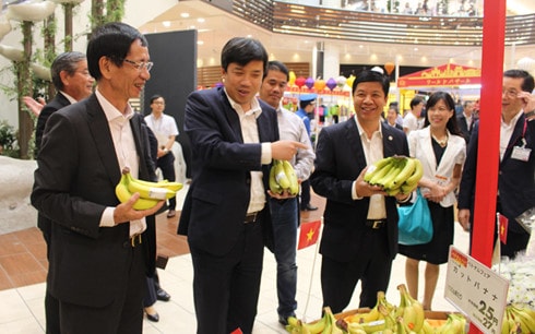 Sản phẩm chuối của Việt Nam đang có cơ hội đến với nhiều thị trường trên thế giới.