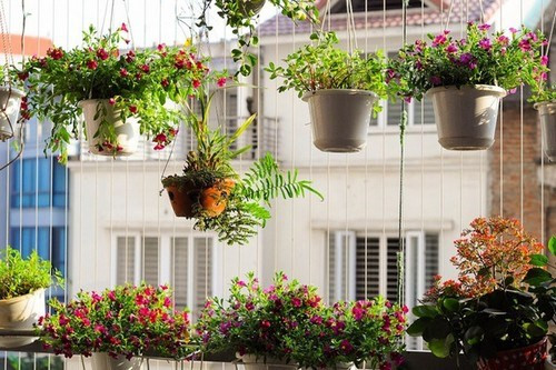 Ban công nhà bạn sẽ lãng mạn hơn với những chậu hoa treo cực đẹp như trong hình.