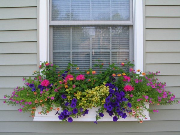 Ban công đầy hoa ngoài cửa sổ sẽ giúp ngôi nhà của bạn trở nên rực rỡ sắc màu hơn.