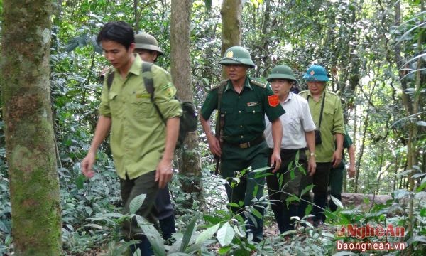Lực lượng Biên phòng và Kiểm lâm tuần trabảo vệ rừng.