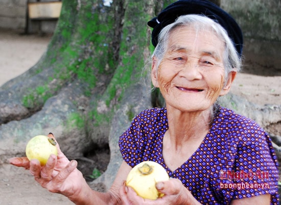 Mặc dù tuổi đã cao, mỗi  bước đi  của mẹ toàn thân phải gập mình sát mặt đất nhưng hàng ngày mẹ không quên ra gốc thị ngồi ngắm cây và nhớ về những kỷ niệm suốt đời mẹ không thể nào quên. Mẹ kể, ngày mẹ về làm dâu, cây thị vào mùa quả chín. Ngày tiễn chồng ra chiến trường, đươi gốc thị này mẹ và chồng thể nguyện mãi yêu nhau trọn đời. Từ ngày chồng mất, mẹ sống vậy nuôi hai người con gái và cây thị như tiếp cho mẹ thêm sức mạnh trước những bão tố của cuộc đời.