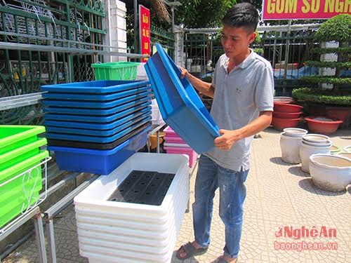 At peak times, this shop could sell 200 – 300 units of plastic trays and a lot of vegetable varieties per day.