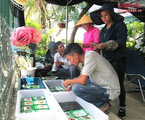 Every day, there are many people looking for seeds and tools to nourish their own farm at home.