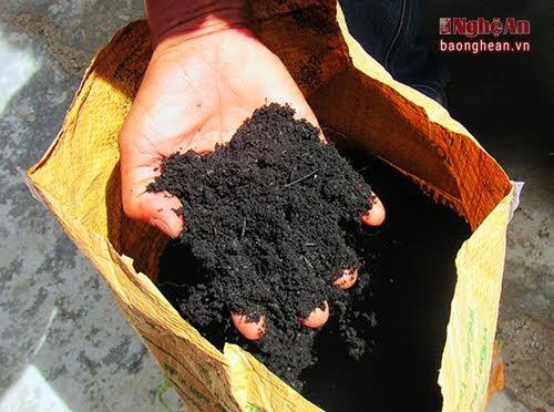 Tribat soil is a clean sort of soil, which is nutrient-rich and used for organic vegetable planting. Its price is 40,000 dongs/bag currently.