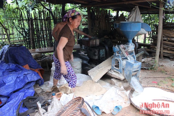 Giờ đây cả bản có trên 200 con trâu, bò, số nhà có phương tiện đi lại, phương tiện nghe nhìn cũng đã đến 90%.