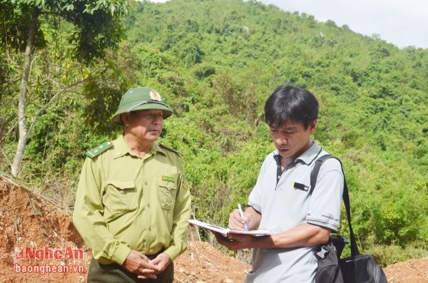 Cán bộ Hạt Kiểm lâm Nghĩa Đàn xác nhận thông tin vụ việc ở xã Nghĩa Lạc với phóng viên.