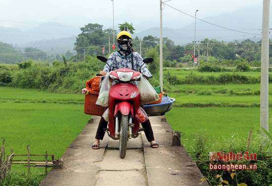 Mỗi ngày, có hàng trăm lượt người qua lại trên cây cầu 