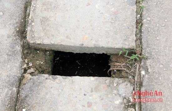 Những chiếc nắp đậy đặt xa nhau tạo cho mặt cầu có nhiều chiếc rãnh sâu như những chiếc bẫy trên cây cầu không có lan can này.
