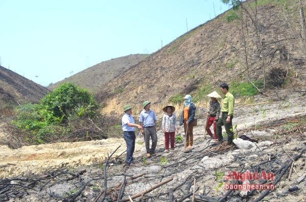 Lãnh đạo huyện Quế Phong kiểm tra khu vực quy hoạch trồng rừng của người dân.