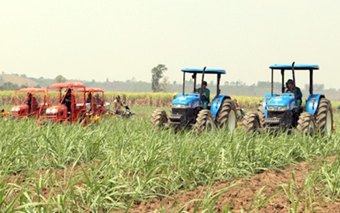 Tăng thu hút đầu tư vào nông nghiệp đang là một bài toán không dễ giải (Ảnh minh họa: KT)