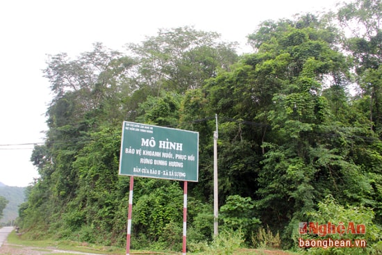 Biển báo bảo vệ rừng đinh hương của bản Cửa Rào 2.