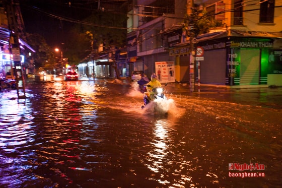 Nhiều tuyến đường như Đặng Thái Thân, Ngư Hải, Đinh Công Tráng … gần như hoàn toàn bị nhấn chìm.