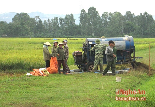 Những diện tích cao hơn bà con tranh thủ dùng máy gặt trước khi trời mưa 