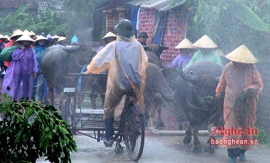 Người dân tham gia diễn tập phòng chống